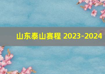 山东泰山赛程 2023-2024